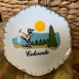 Colorado vintage tourist plate
